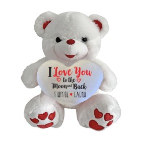 Λούτρινο αρκουδάκι 30-35cm με εκτύπωση
